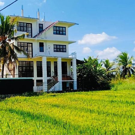 Freedom Of Green Rice View Hotel Anuradhapura Exterior photo