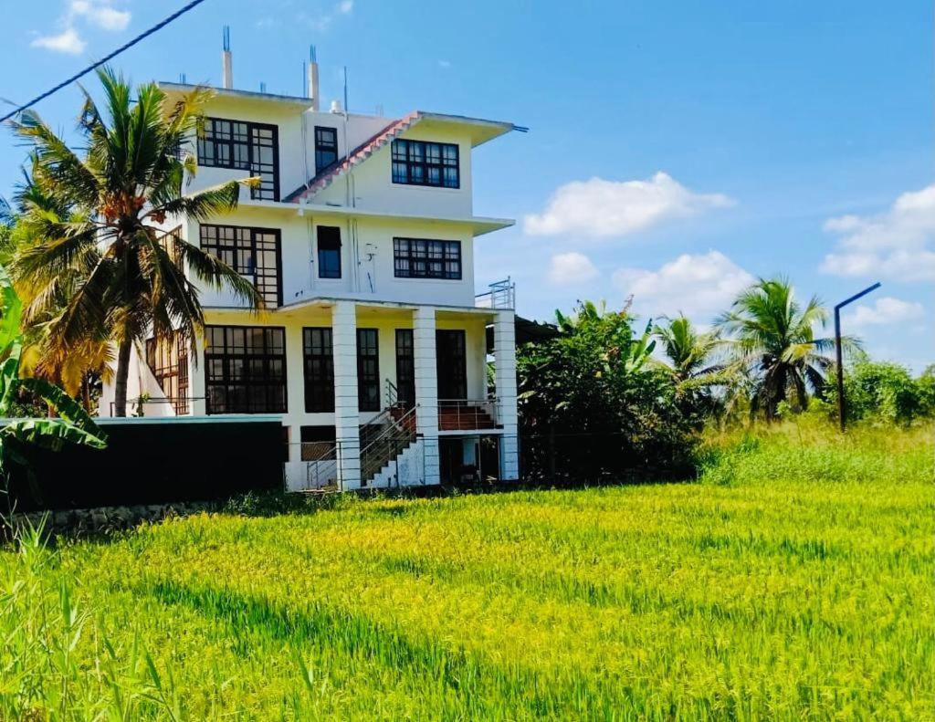 Freedom Of Green Rice View Anuradhapura Exterior photo