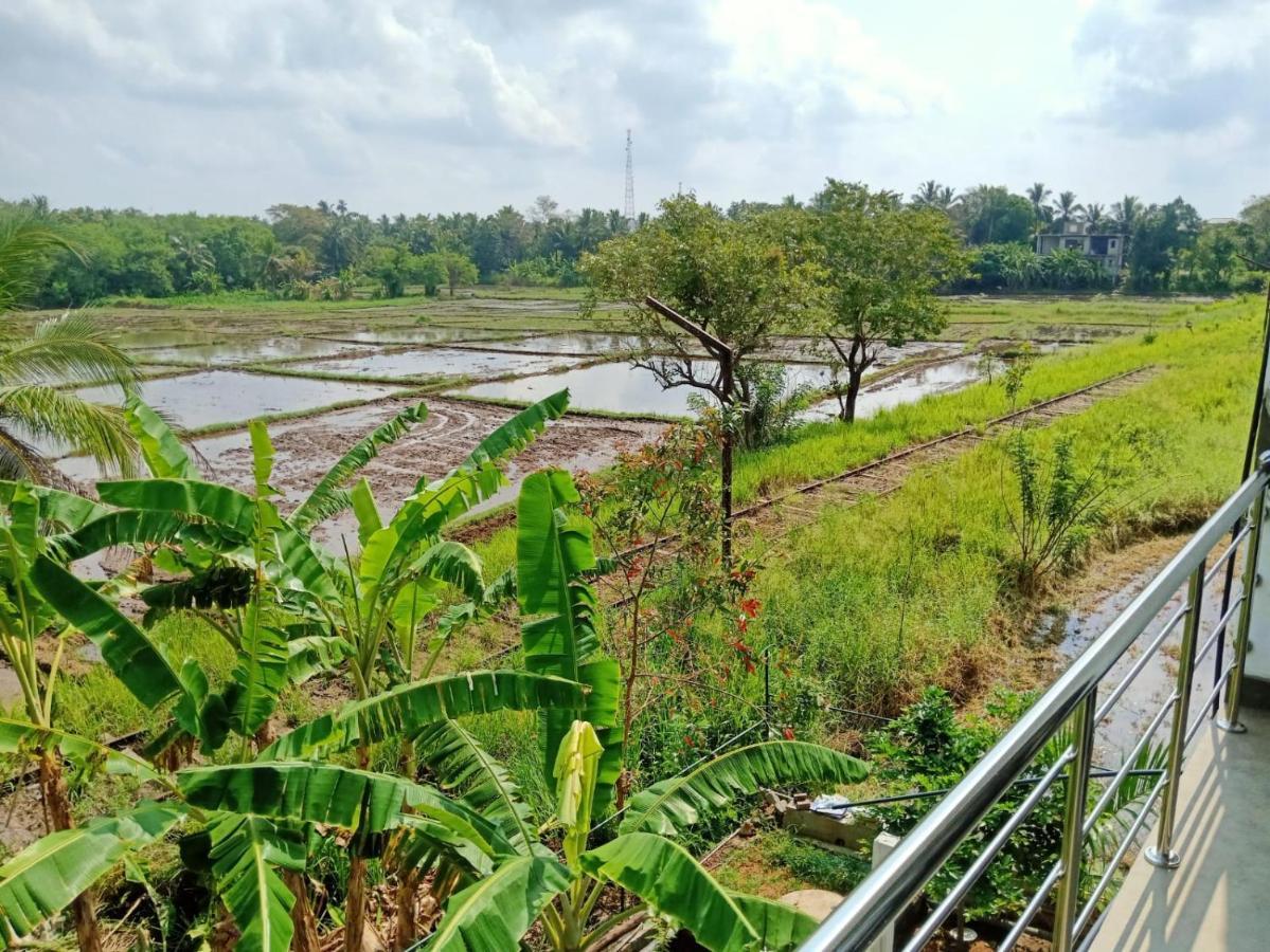 Freedom Of Green Rice View Hotel Anuradhapura Exterior photo