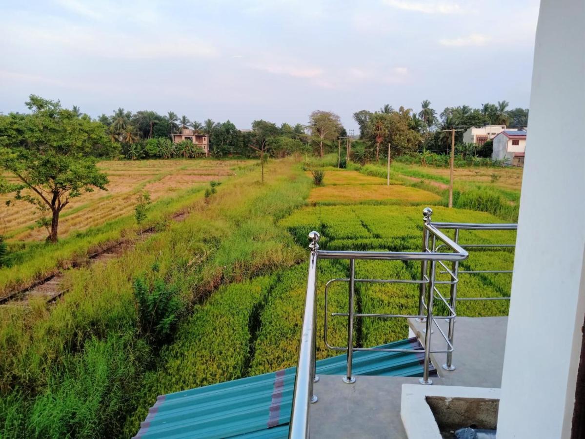 Freedom Of Green Rice View Hotel Anuradhapura Exterior photo