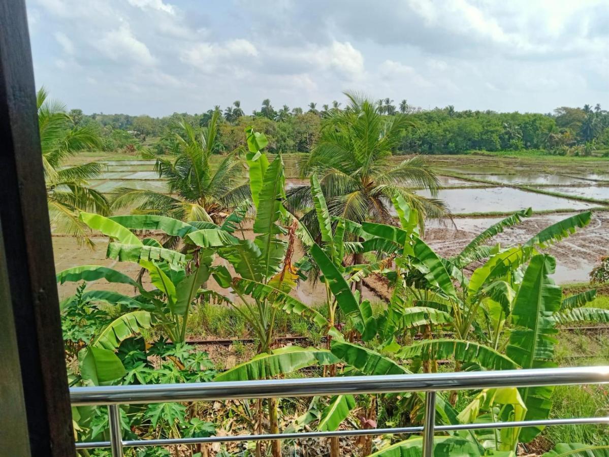 Freedom Of Green Rice View Hotel Anuradhapura Exterior photo