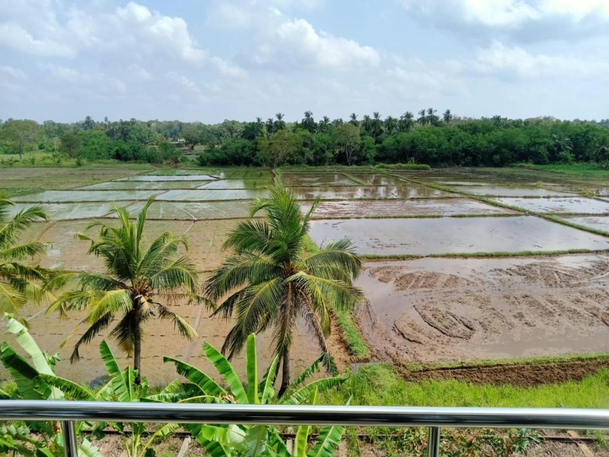 Freedom Of Green Rice View Hotel Anuradhapura Exterior photo