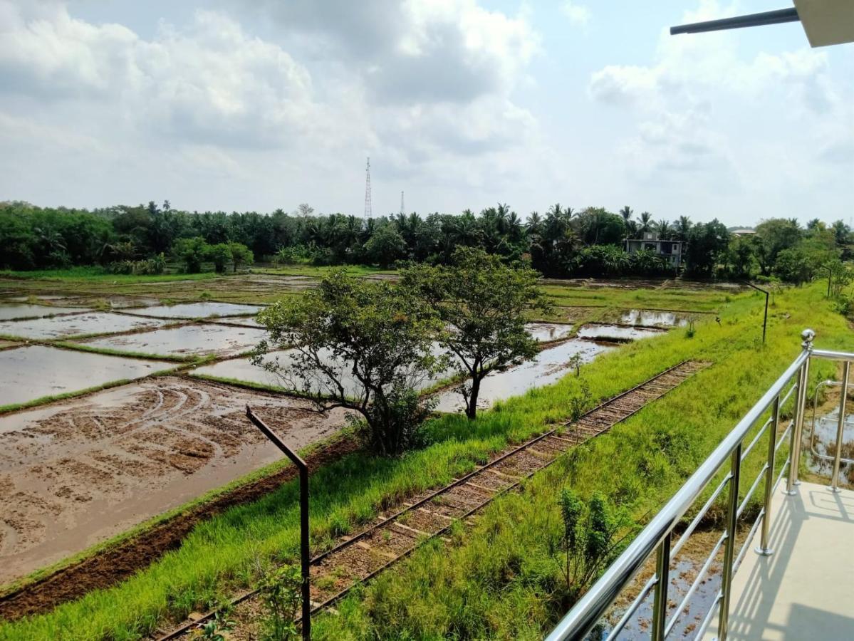 Freedom Of Green Rice View Hotel Anuradhapura Exterior photo