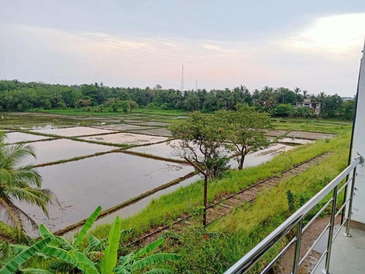 Freedom Of Green Rice View Hotel Anuradhapura Exterior photo