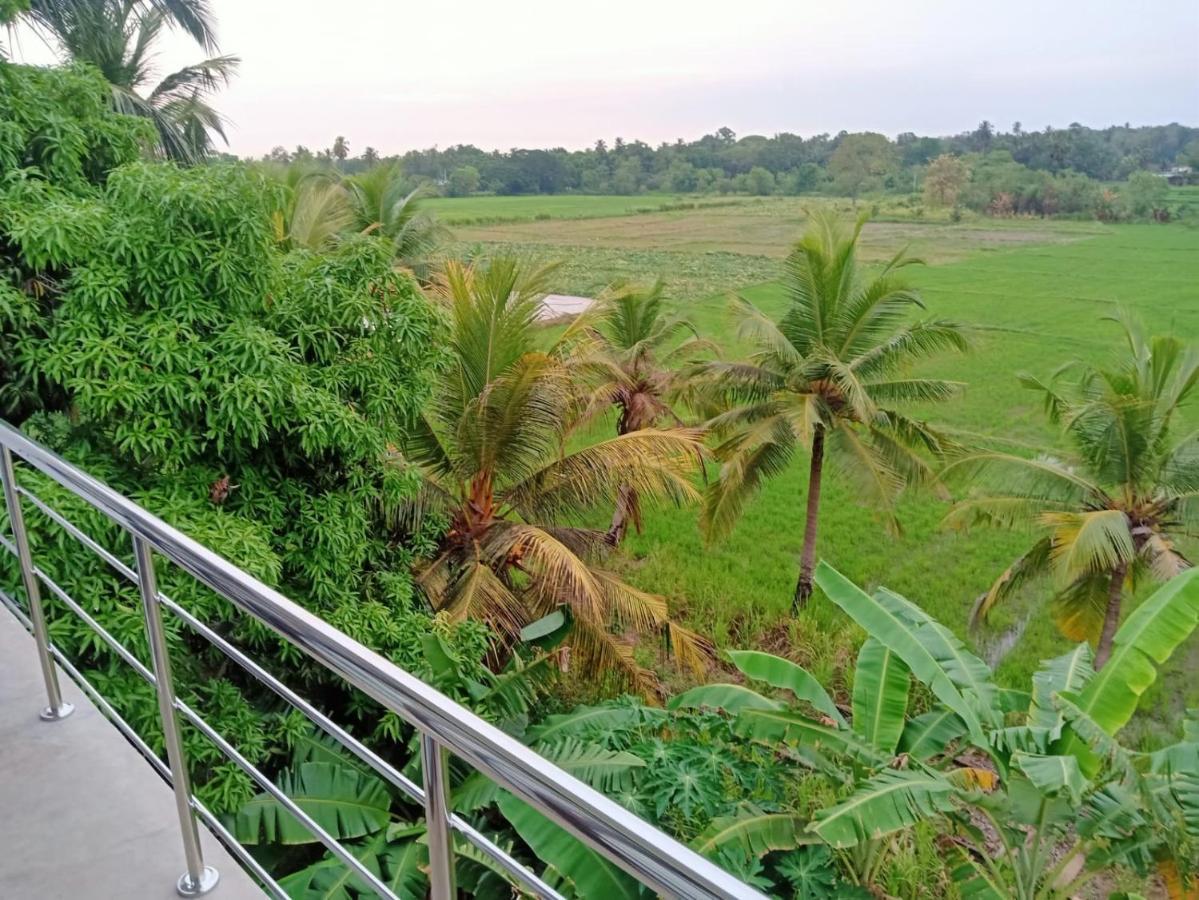 Freedom Of Green Rice View Hotel Anuradhapura Exterior photo