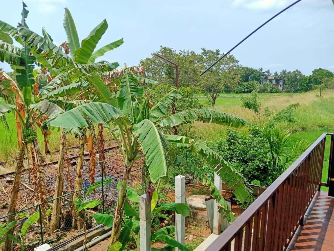 Freedom Of Green Rice View Hotel Anuradhapura Exterior photo